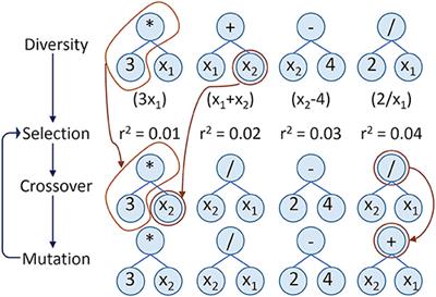 Automated Discovery of Relationships, Models, and Principles in Ecology